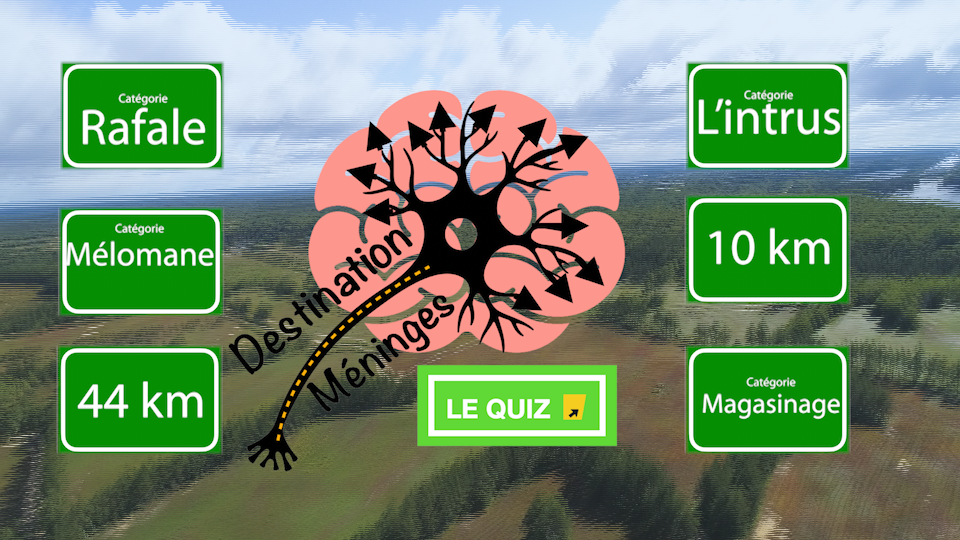 Télé du Haut-du-Lac - Destination Méninges : le quiz